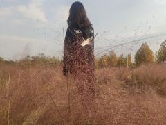 -映月湖中央公园