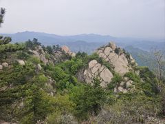 -六里坪国家森林公园
