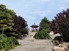 -大兴滨河森林公园