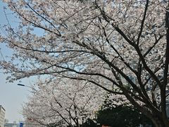 -江南大学(蠡湖校区)