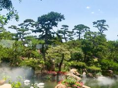 -罗红摄影艺术馆