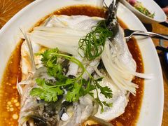 -宁波柏悦酒店·钱湖渔港