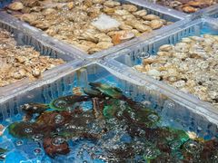 -山海•蒸汽活海鲜自助(皇庭广场店)