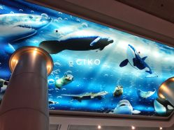 -厦门市儿童医院