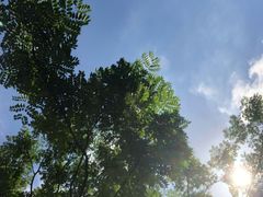 -莘城学校羽毛球馆