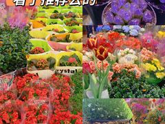-双季花艺园艺市场(浦东店)