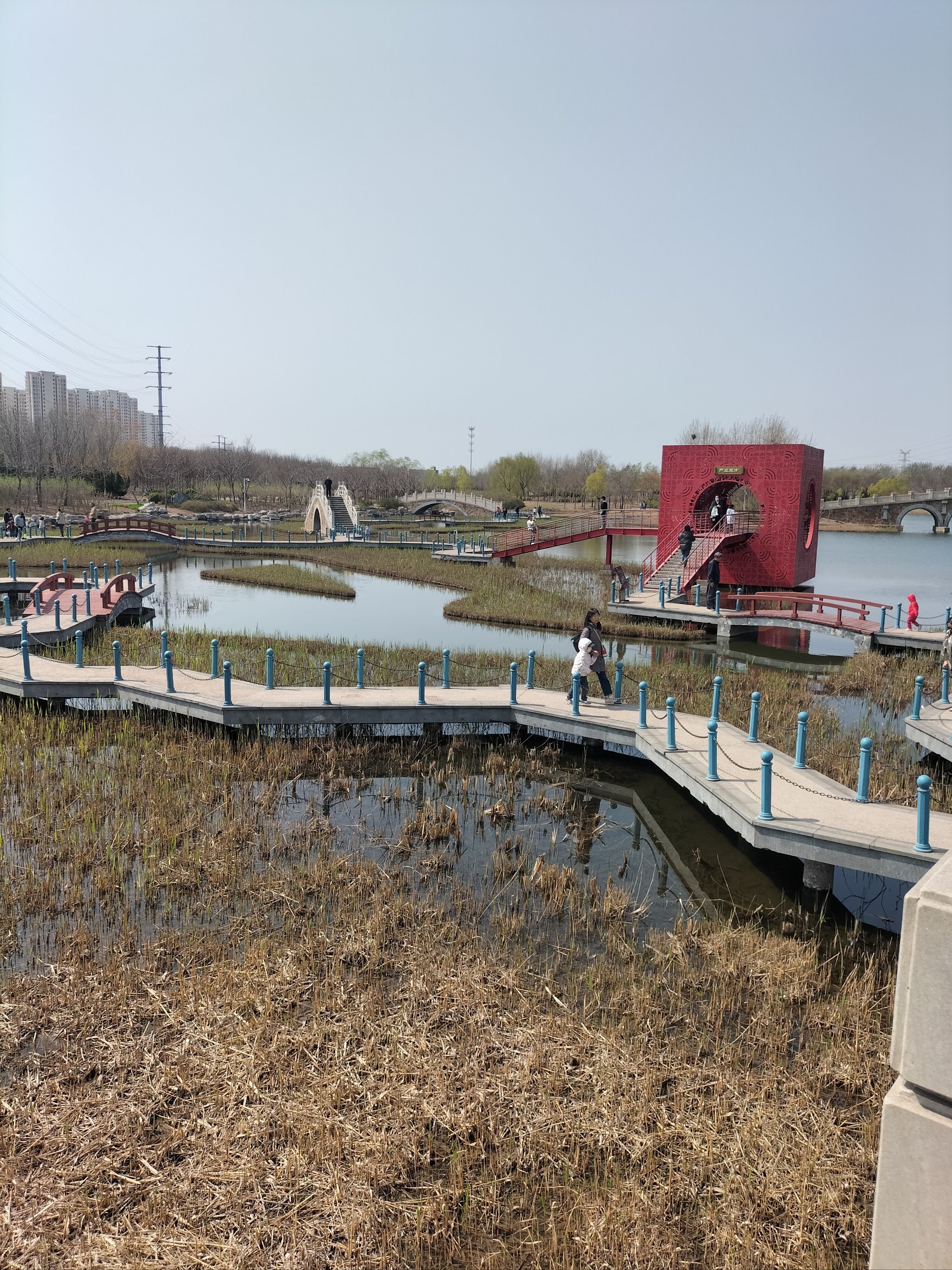 滨海"临港生态湿地公园"距离市区约有60