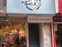 门面-喵的天空名猫咖啡馆·撸猫·猫舍·用品