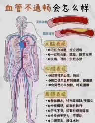 -YESIDO椰岛美容