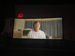 -枫花园汽车电影院(朝阳公园店)