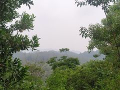 -东莞植物园