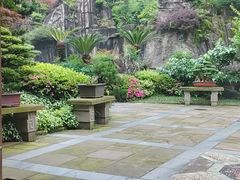-南山植物园