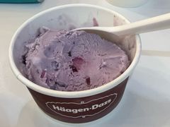 -哈根达斯(青岛海信店)
