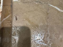 -锦州元都大酒店(凌河古塔夜市店)