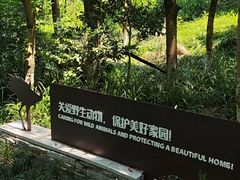-重庆彩云湖湿地公园