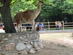 -西安秦岭野生动物园