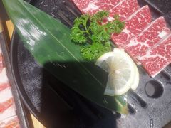 -九田家黑牛烤肉料理·自助(洪洞县城市花园店)