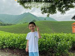 -帐篷客·溪龙茶谷度假酒店