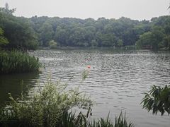 -紫霞湖公园