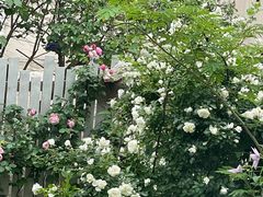 -三仟津花园咖啡馆