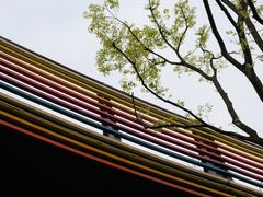 -府河摄影公园