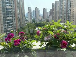 点击看大图 -匠凡皮肤管理工作室