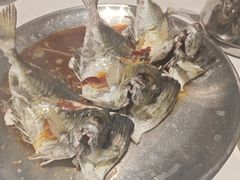 -天鹰观渔(梦园店)