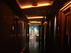 -丽晶大班SPA(大沽店)