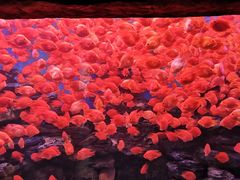 -多彩贵州城极地海洋世界