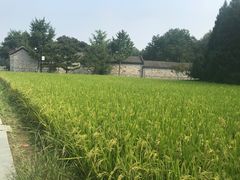 -北坞公园
