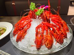 -京悦南门涮羊肉·羊蝎子火锅(田林路店)