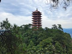 -缙云山景区