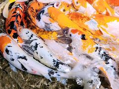 -海合安青岛极地海洋公园