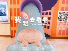 -武汉光谷K11