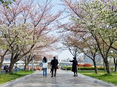 -蠡湖大桥公园