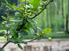 -元大都城垣遗址公园