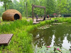 -黄海国家森林公园