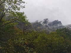 -青峰峡国家森林公园