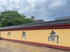 -上海东林寺(金山区)