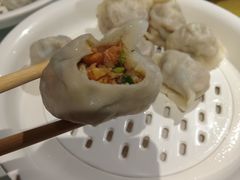 -百饺园(平山道店)