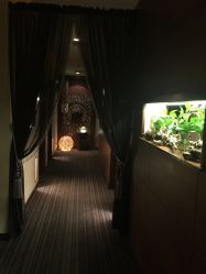 -艾维庭美学SPA