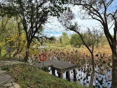 -西溪国家湿地公园