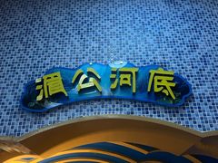 -西双版纳原始森林公园