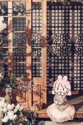 -韩国童感TOUCH PHOTO儿童摄影(朝阳分店)