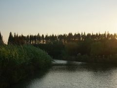 -南湖湿地公园