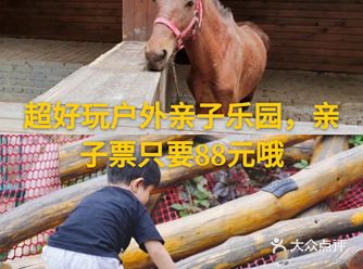 超好玩户外亲子乐园，亲子票只要88元哦