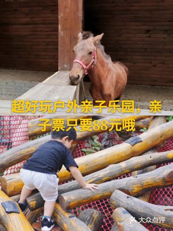 超好玩户外亲子乐园,亲子票只要88元哦