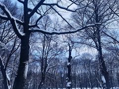 -滴血救世主教堂