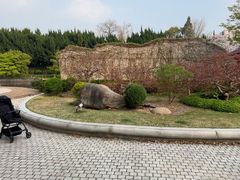 -嘉定紫藤园