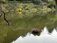 -深圳仙湖植物园